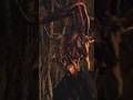 LEON THE LEGEND#re4#zombie#shoot#grenade