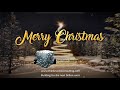 Merry Christmas 2022 -Think Evolve