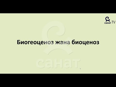 Video: Ачык көздүү жана бадал куйруктуу деген сөз кайдан пайда болгон?