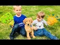 Golden Retriever PUPPY Plays With BUBBLES! Funny Dog