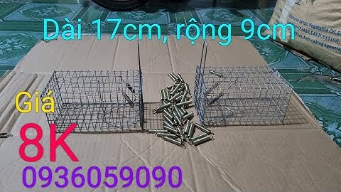 Bán lồng bẫy chuột đồng, bẫy chuột đường mòn, bẫy chuột không cần mồi. Sdt 0936059090, ship toànquốc