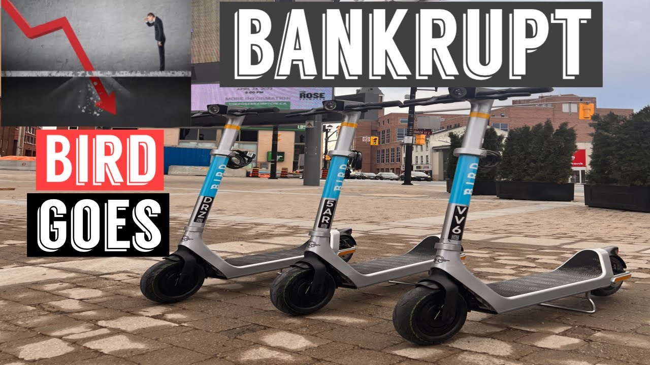 Bird | files for bankrupt | electric scooter