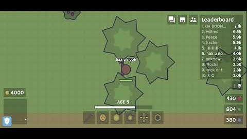 moomoo.io finding a hacker