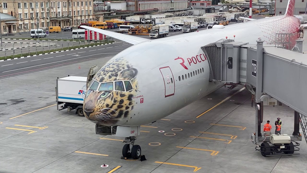 Где взять живую Honda Legend KB1?