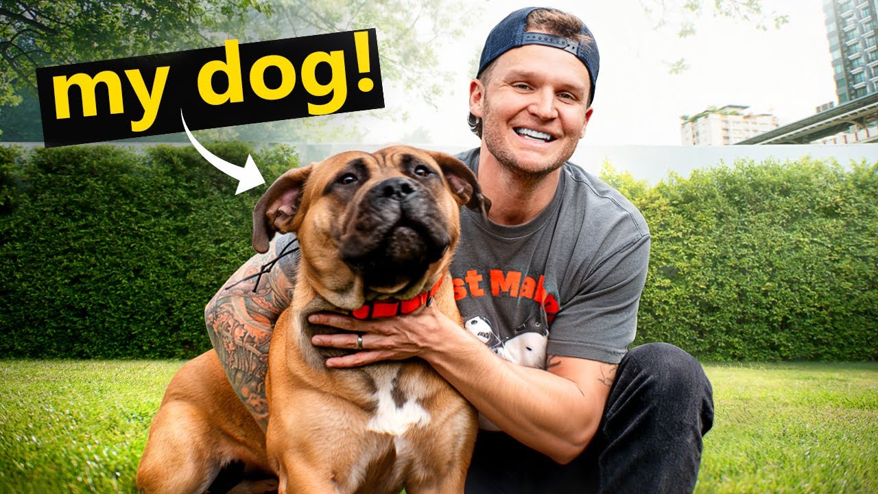 Teach your puppy this before anything! Puppy Training - YouTube