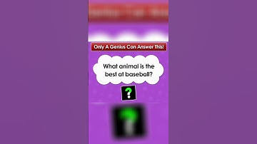 ONLY A GENIUS CAN ANSWER THIS RIDDLE!