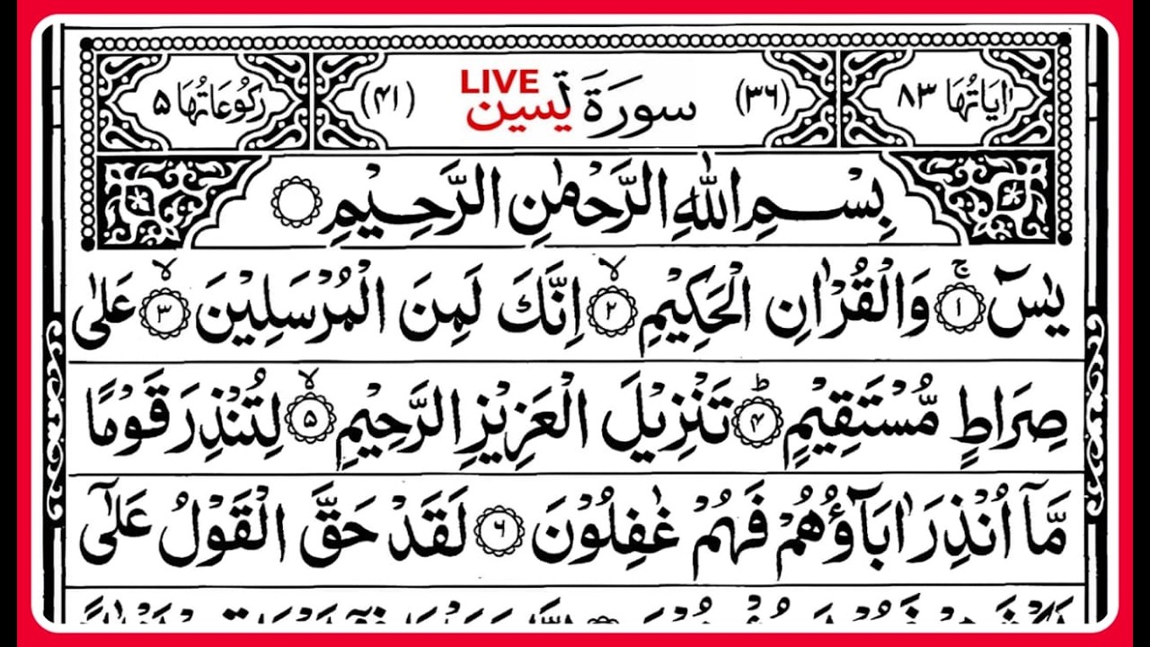 Surah Yaseen | Surah Rahman | Yasin | Daily Quran Tilawat Surah Yaseen Rehman سورة الرحمن Ar-Rehman