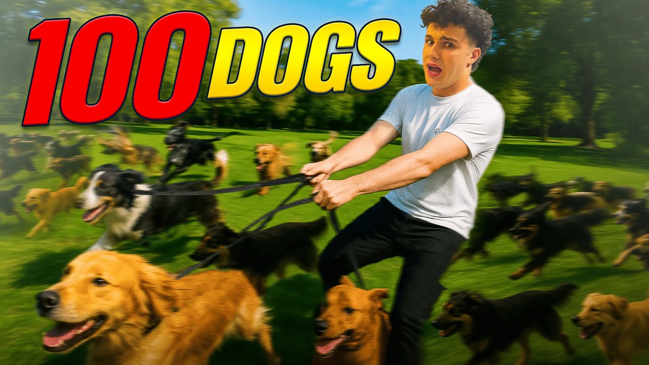 Помогите спасти щенков!