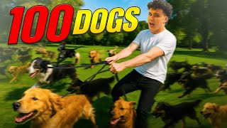 Help Save The Puppies