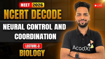 Neural Control and Coordination-3 | Class 11 Biology NCERT DECODE | NEET