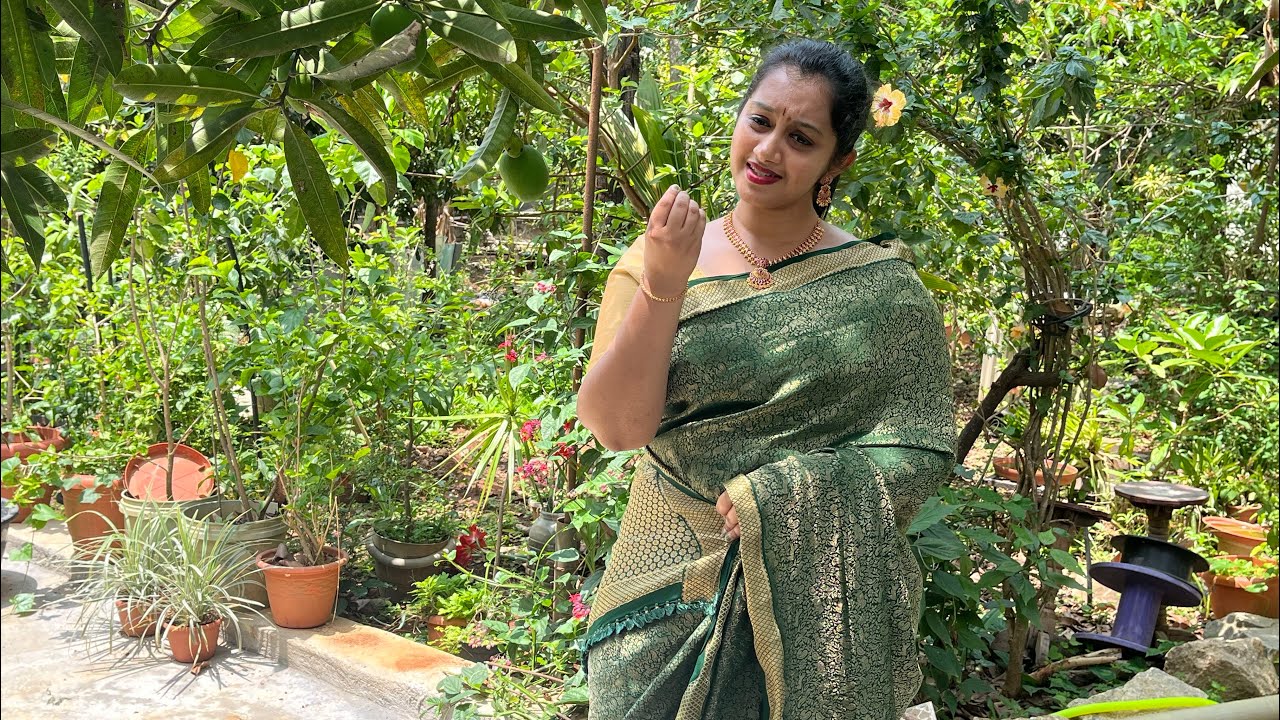 Aparadhamula in Rasali | Eka kriti raga | Tyagaraja