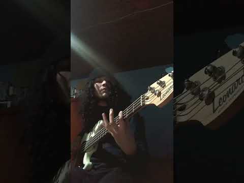 Favourite Nirvana basslines
