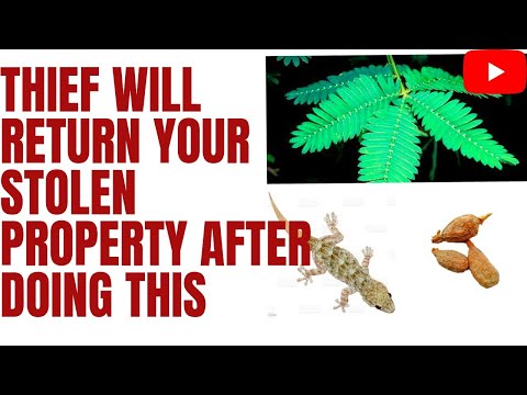 How To Recover A Stolen Property Or Money From A Thief