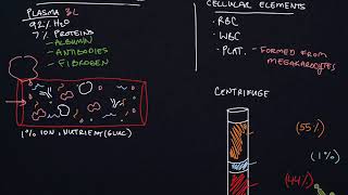 Ch  18 Notes video