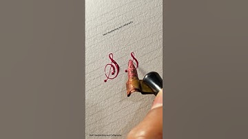 Letter S with calligraphy dip pen #calligraphy