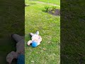 Сразу видно, где мальчики, а где девочка