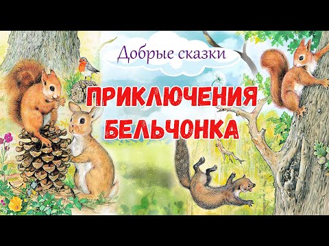 Приключения бельчонка - Добрые сказки на ночь - Аудиосказки для детей