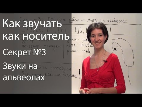 Английское произношение - 6 секретов. Звуки на альвеолах