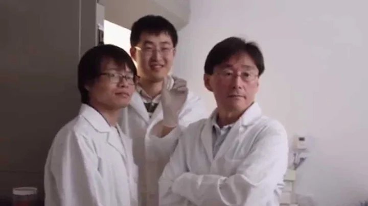 Rice University researchers discover way to make highly-aligned, wafer-scale nanotube films