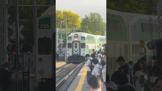 OCC 255! GO 7709 255 & 650 at Markham during the morning rush #train #gotrain #gotransit #metrolinx