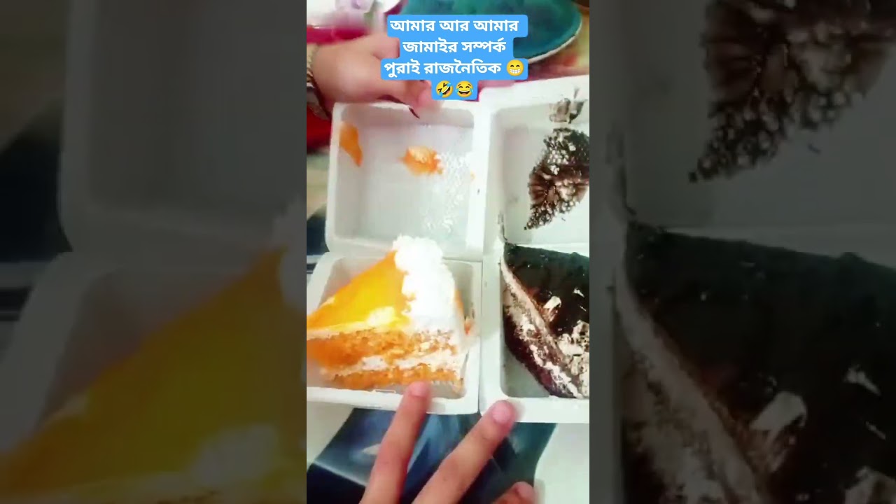 আমার আর আমার জামাইর সম্পর্ক পুরাই রাজনৈতিক 😁🤣 