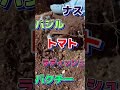 ↑↑↑詳しくはこちら。動画をチェックしてね!