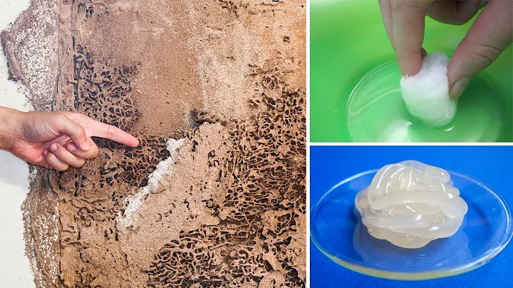How To Kill Termites And Get Rid Of Them Forever - DayDayNews