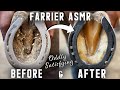 Full restoration-farrier ASMR-Oddly Satisfying