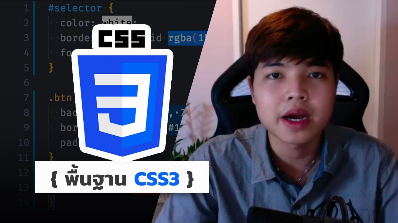 ภาษา css คือ  2022  คอร์สเรียนพื้นฐาน CSS สำหรับผู้เริ่มต้น 👨‍💻