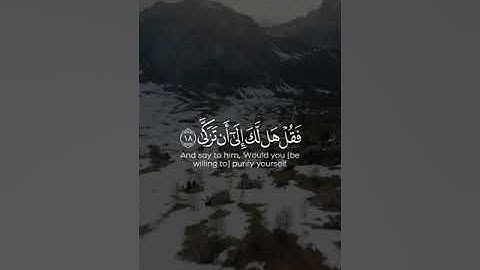 القارئ اسلام صبحي - سورة النازعات Islam Sobhy | مقاطع قرآن قصيرة وحالات واتس إسلامية 🌱