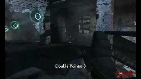 COD5 WaW v1.1 CO-OP Infinite Ammo Cheat