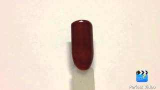 Shellac Bluesky #40561