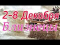 БЛИЗНЕЦЫ. С 2 ПО 8 ДЕКАБРЯ 2019. ТАРО-ПРОГНОЗ.