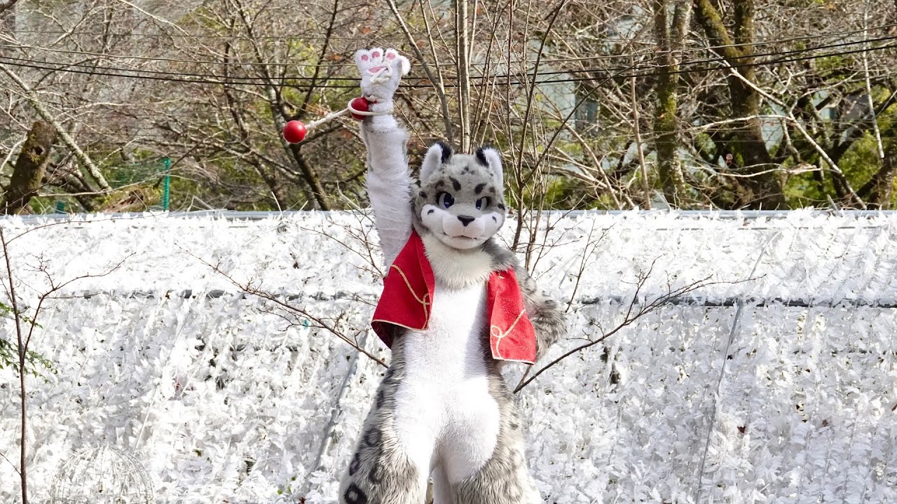 ケモノ着ぐるみ】シュエ・ガオ ジャグリング kemocon15 - YouTube