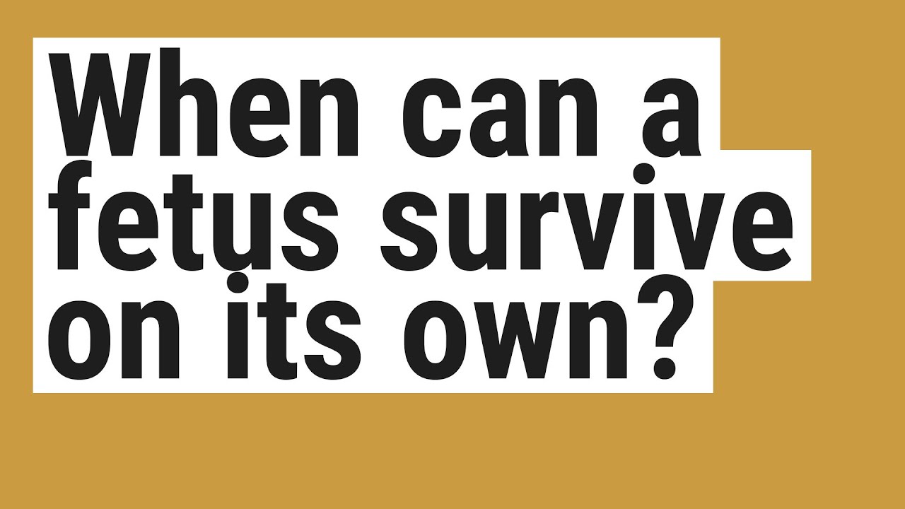 When Can A Fetus Survive On Its Own YouTube When Can A Fetus Survive On Its Own YouTube