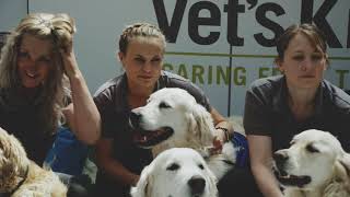 Vets Kitchen's MD and Vet, Jenny Philp discusses pet health and nutrition. by Vet's Klinic 453 views 5 years ago 19 seconds