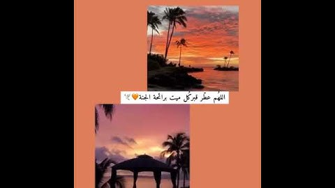 :بعيد عن ضجيج الحياة #ارح_مسامعك_وقلبك_مع_تلاوه_القران💕🍃 ♥️.