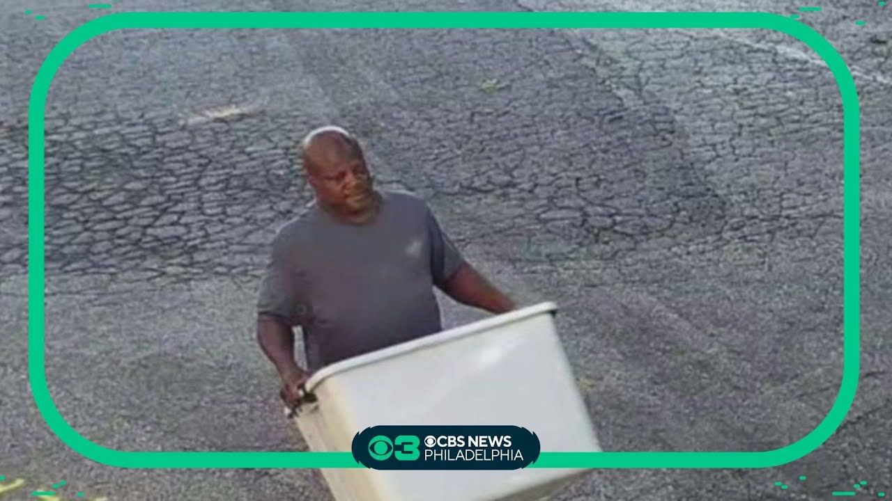 Man charged with animal cruelty for leaving kittens outside in Sharon ...