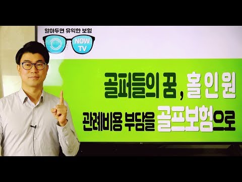 자동차보험조회