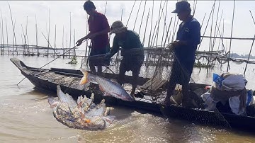 Mưu sinh đại đường ven sông Tiền mùa nước bạc - Sông Nước Cửu Long - Nguyễn Hùng