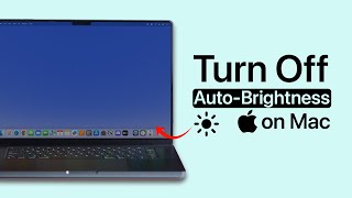 How to Turn Off Auto Brightness on Mac?