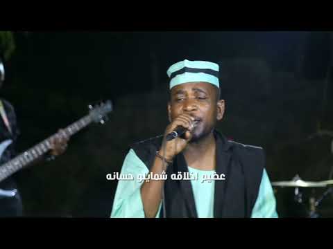 علي المعصوم عقد الجلاد