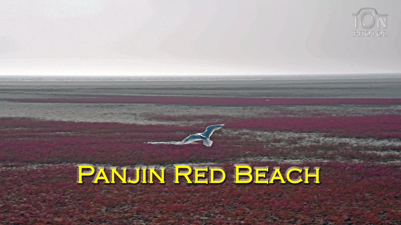 Panjin Red Beach