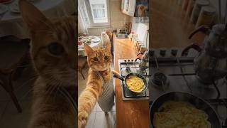 Chef Cat’s Egg Flip FAILED! 😭🍳🐱#FunnyCats #AIVideo #CatFails #FunnyShorts