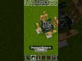 #shorts #minecraft