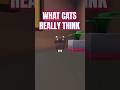What cats really think... 🤔 🐈‍⬛ #digigods #vr #cats #cat #primordialsoup #fyp #shorts