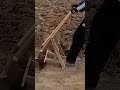 This Simple Wooden Tool Works Better Than You Think 😮