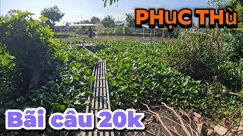 Quay trở lại bãi câu tạp hoá Diệu Hiền để phục thù, bãi câu giải trí siêu êm 