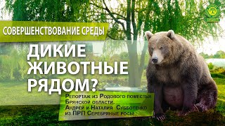 Дикие животные рядом!