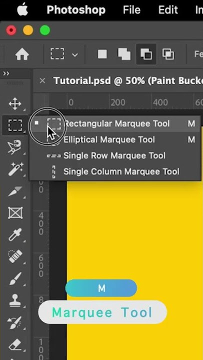 Complete Guide to Using the Paint Bucket Tool in Photoshop